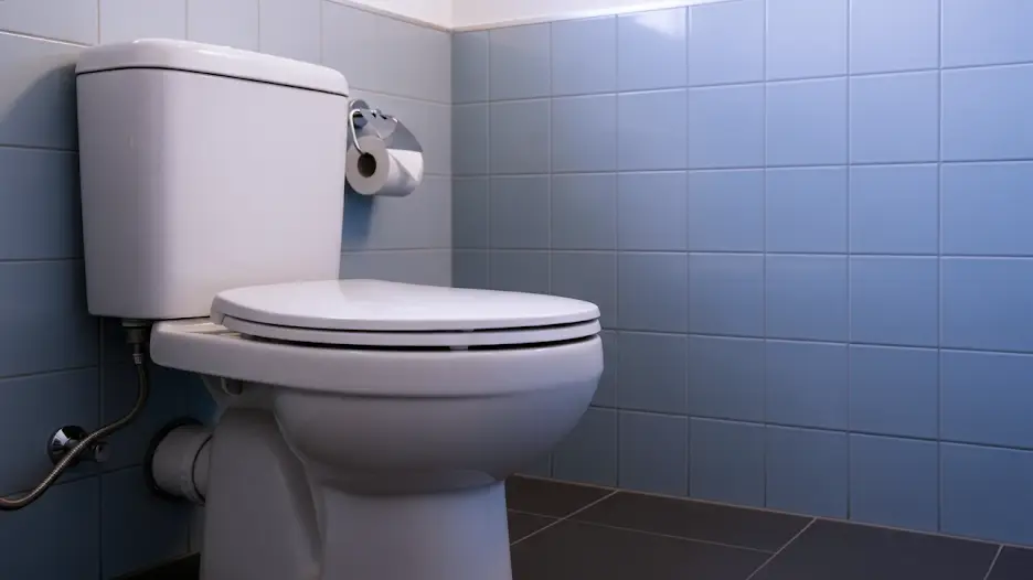 Toilet installation and repair
